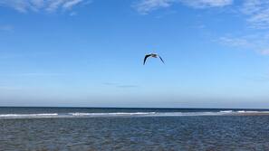 In Strandnähe