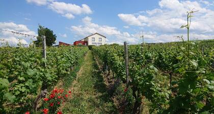 Weinbergshof Rickel