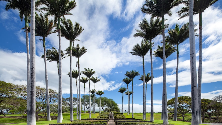 Mauna Kea Residences