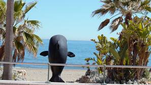 On the beach, white sand, beach volleyball, 3 beach bars