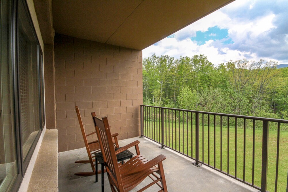 Roomy condo w/elevator, WiFi, & wooded views