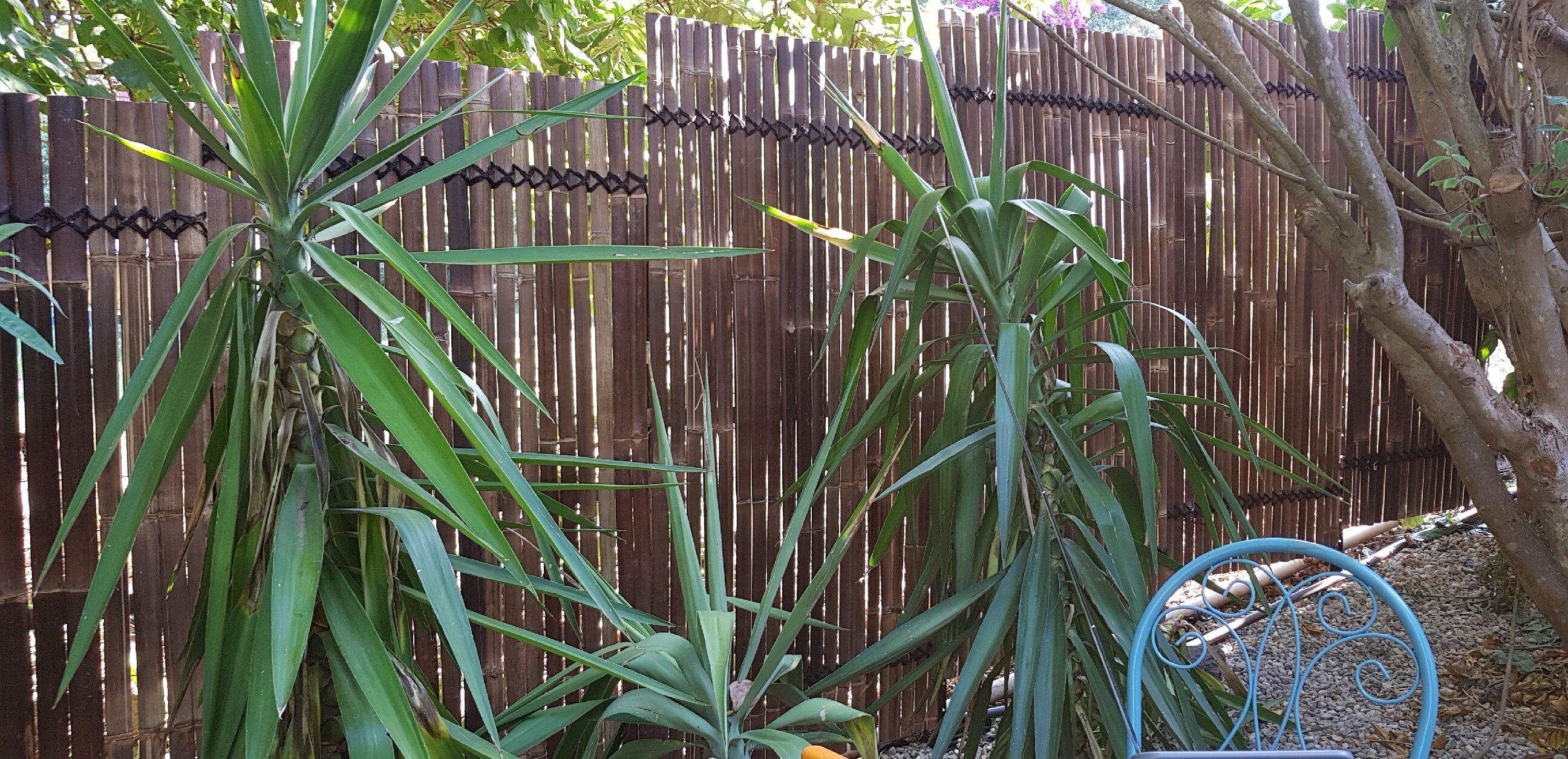 Hide A Way at Argentè Heart Hinterland