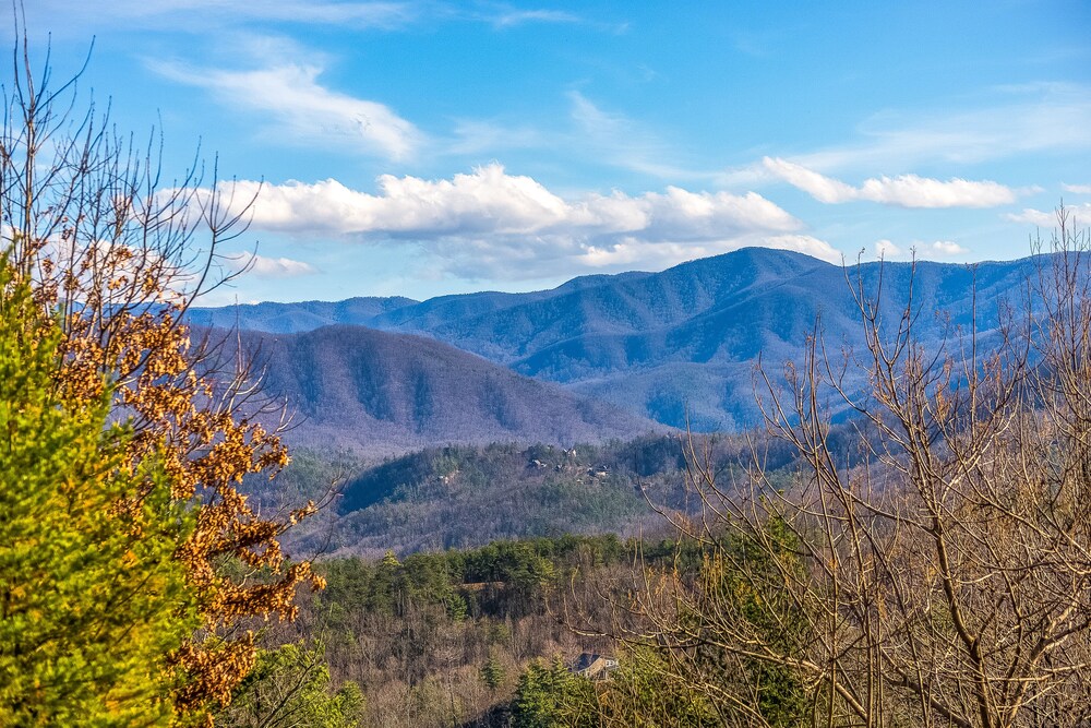 Luxury condo w/ forest & mountain views, a private balcony, & covered parking!