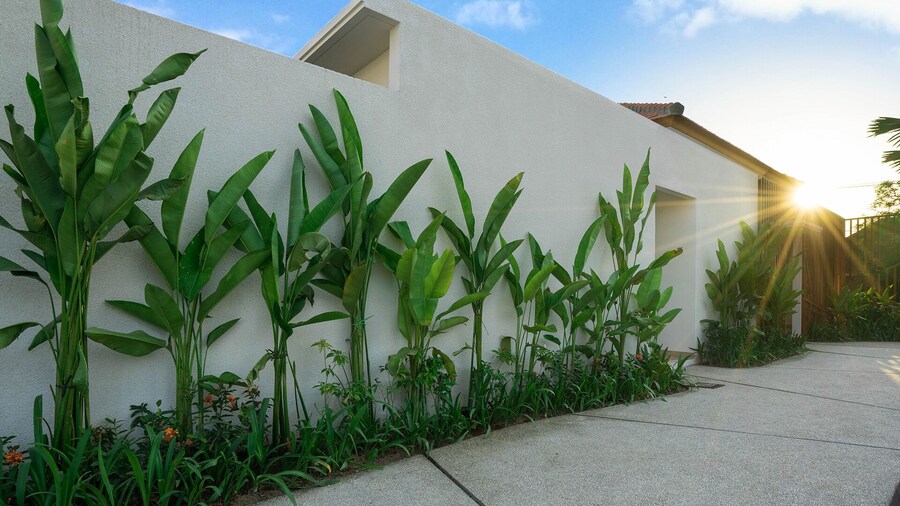 The Mavilla