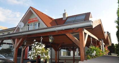 Hotel Orlan