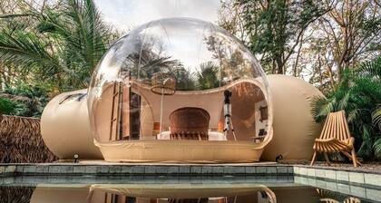 Satori The Bubble Experience Lodge