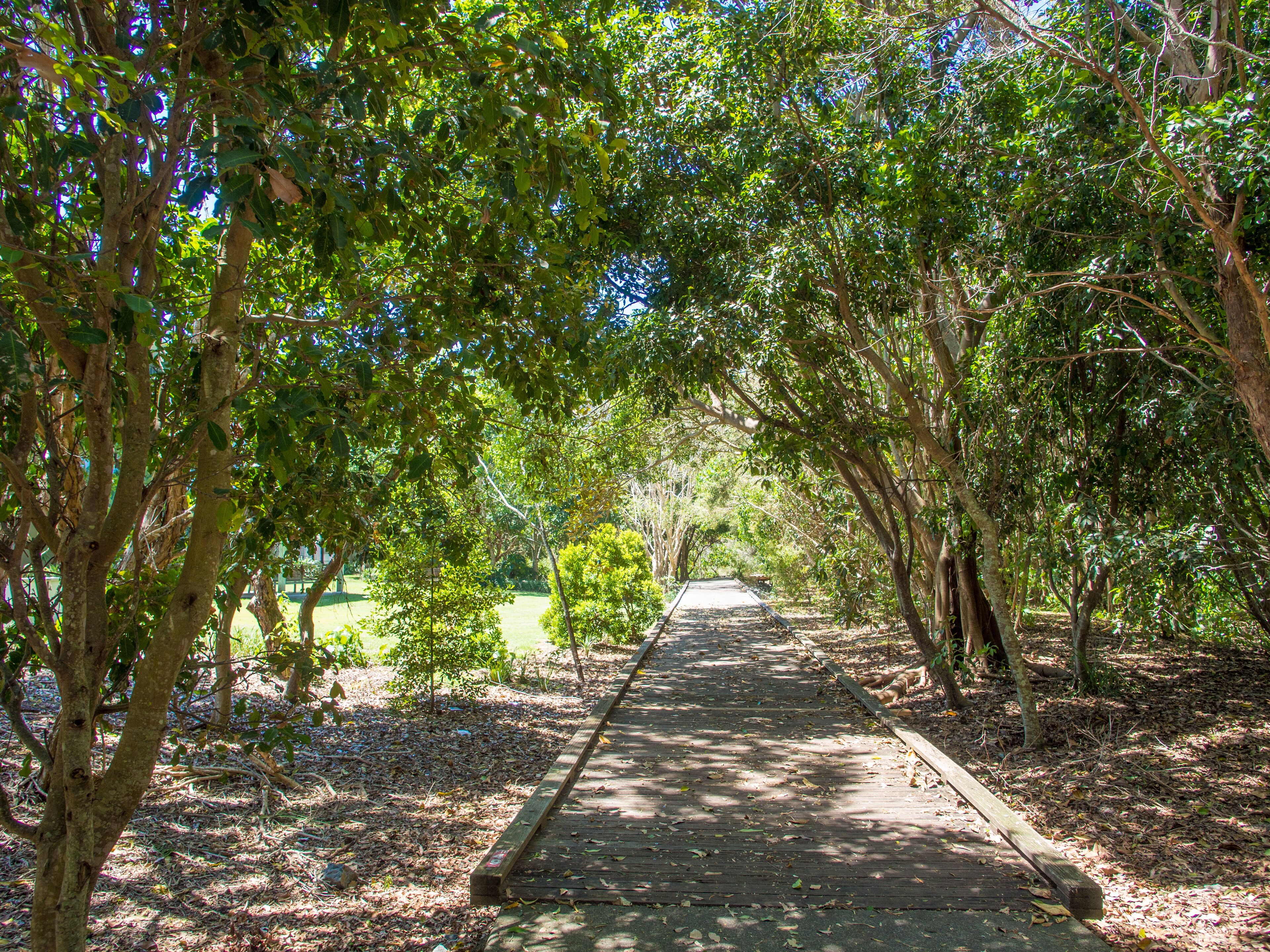 Cotton Beach - Beachfront Villa w/ Private Pool - Paradise Casuarina