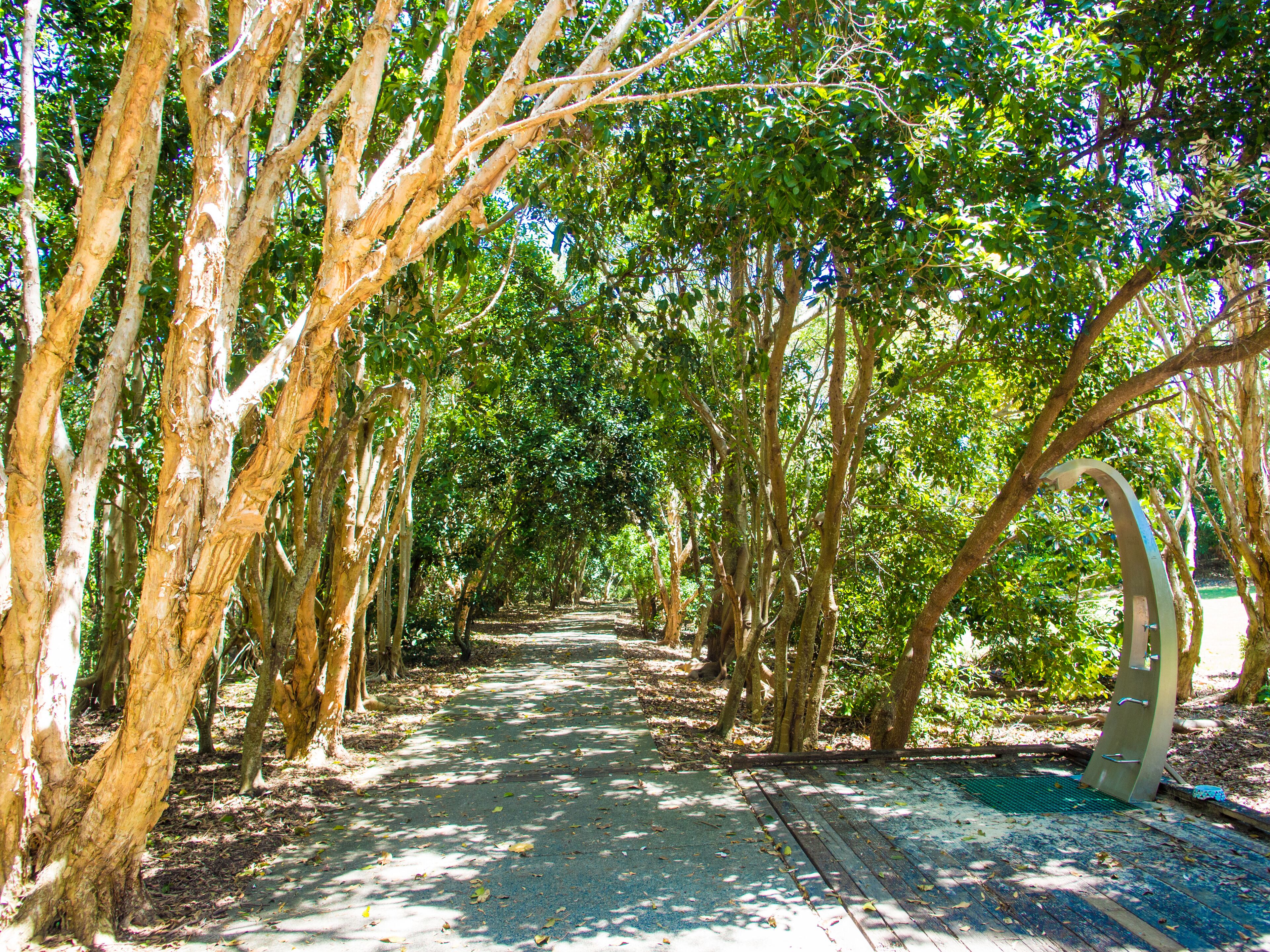 Cotton Beach - Beachfront Villa w/ Private Pool - Paradise Casuarina