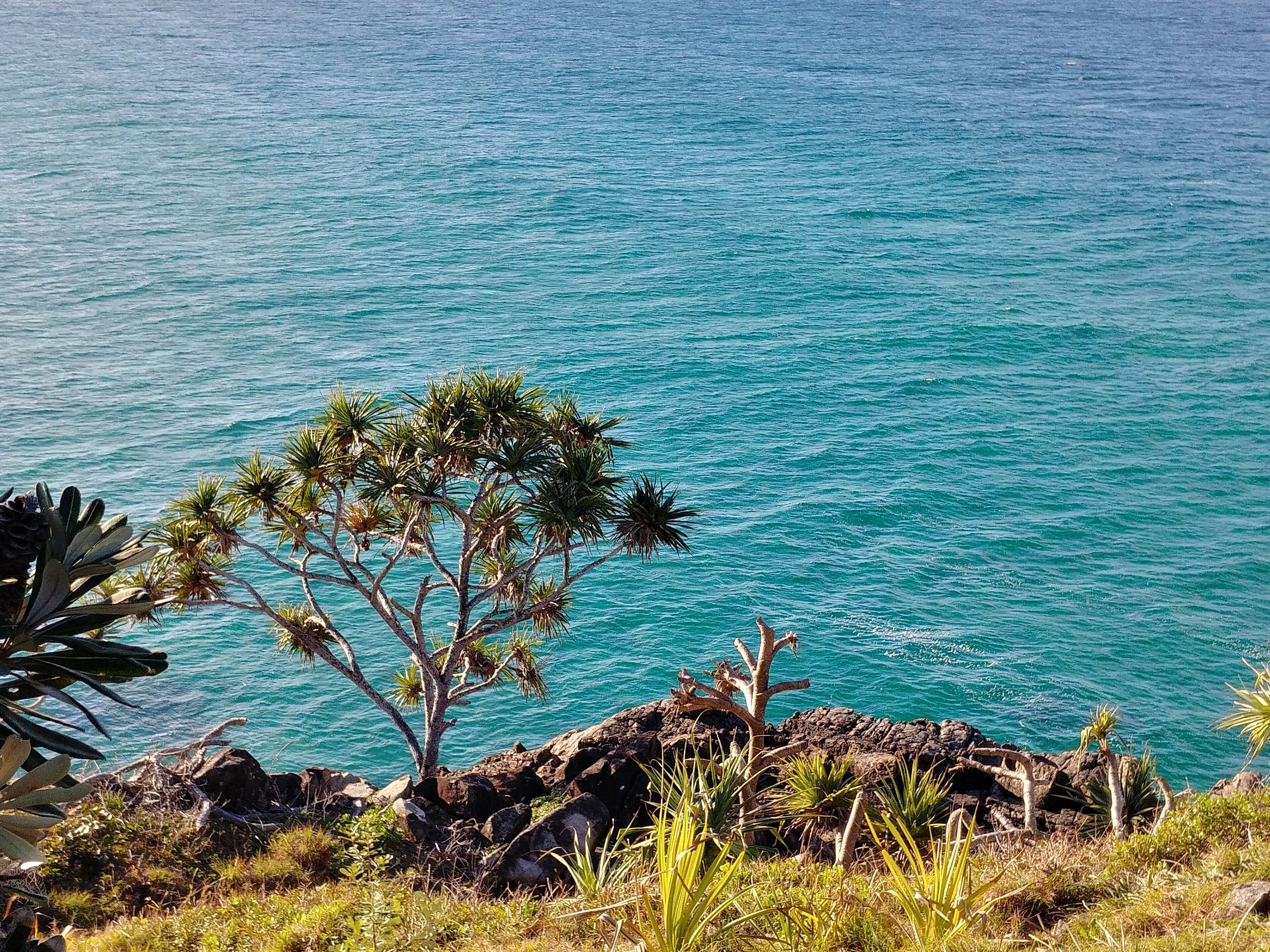 Cotton Beach - Beachfront Villa w/ Private Pool - Paradise Casuarina