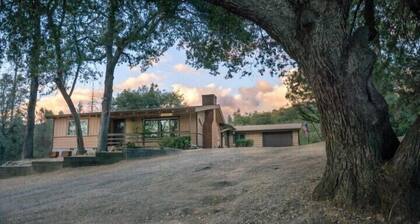 Scenic Wonders Frontiersman 3 Bd