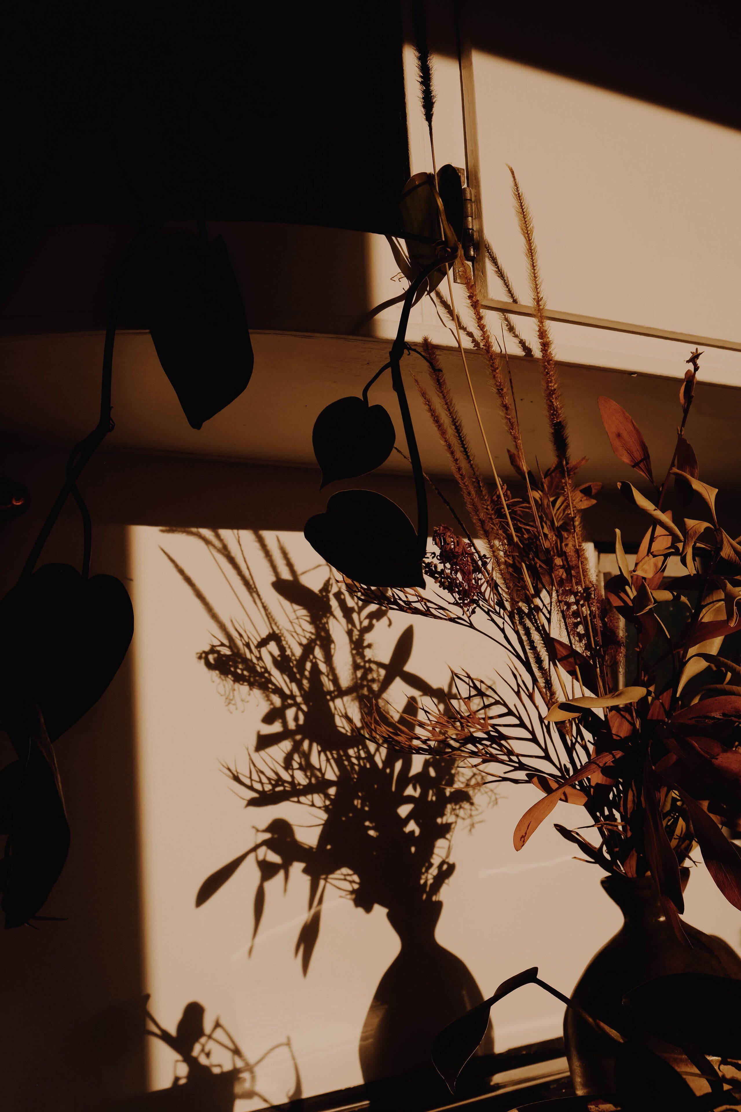 Broken Head Beach Shack