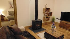 Flat-screen TV, fireplace