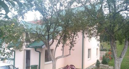 Apartments&Rooms Bojic