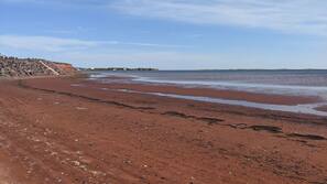 Plage, chaises longues, serviettes de plage