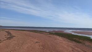 Plage, chaises longues, serviettes de plage