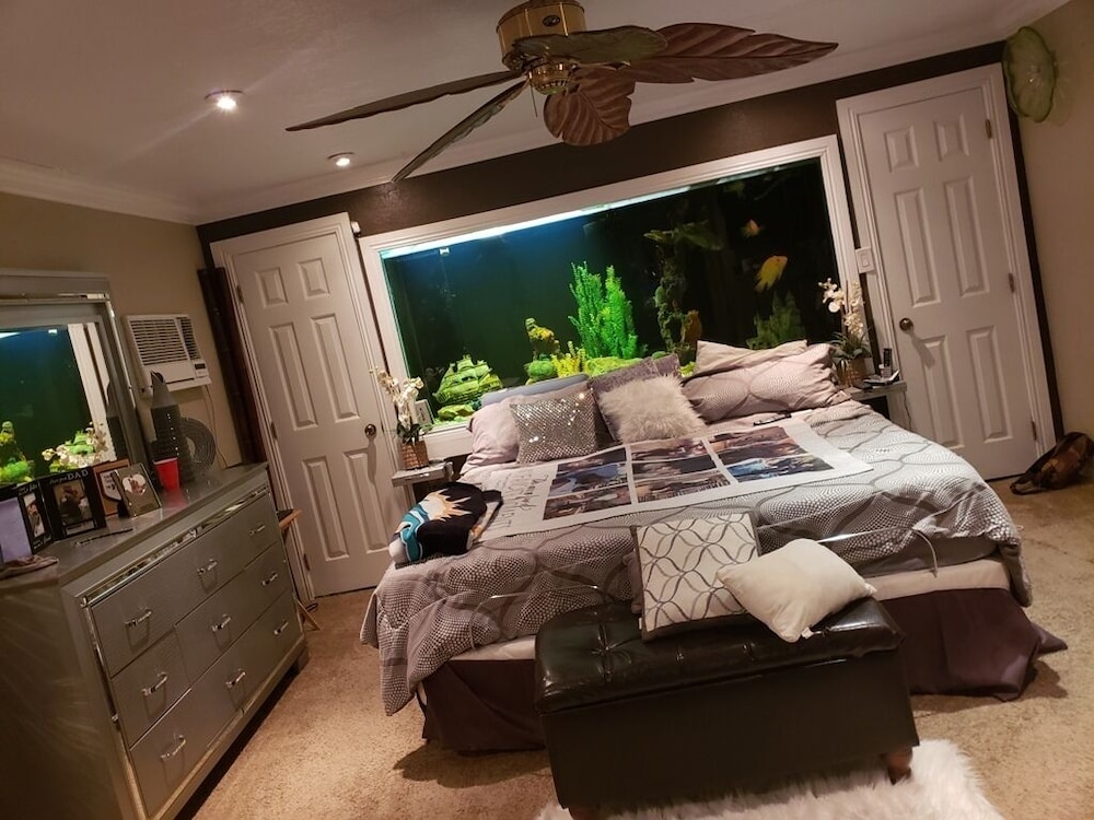 Superbowl Special - Ideal, Hardrock Stadium, Town Center