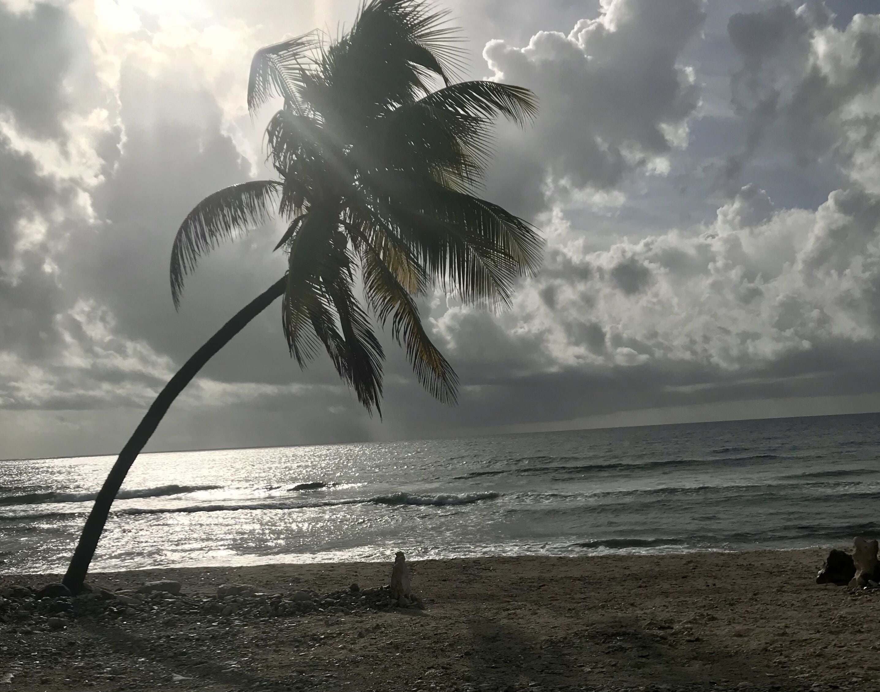 Southern Exposure, Secluded New Beach House on Cayman Brac! Divers Delight! in Bouvet Island, Cayman Islands