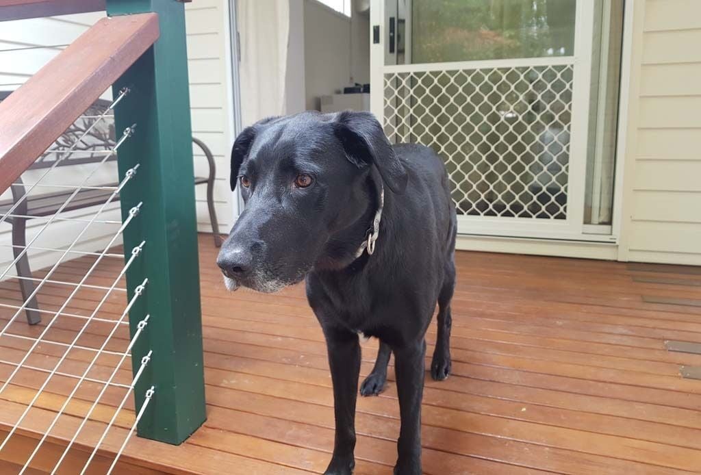 New Private Studio - two Minutes Walk to Town