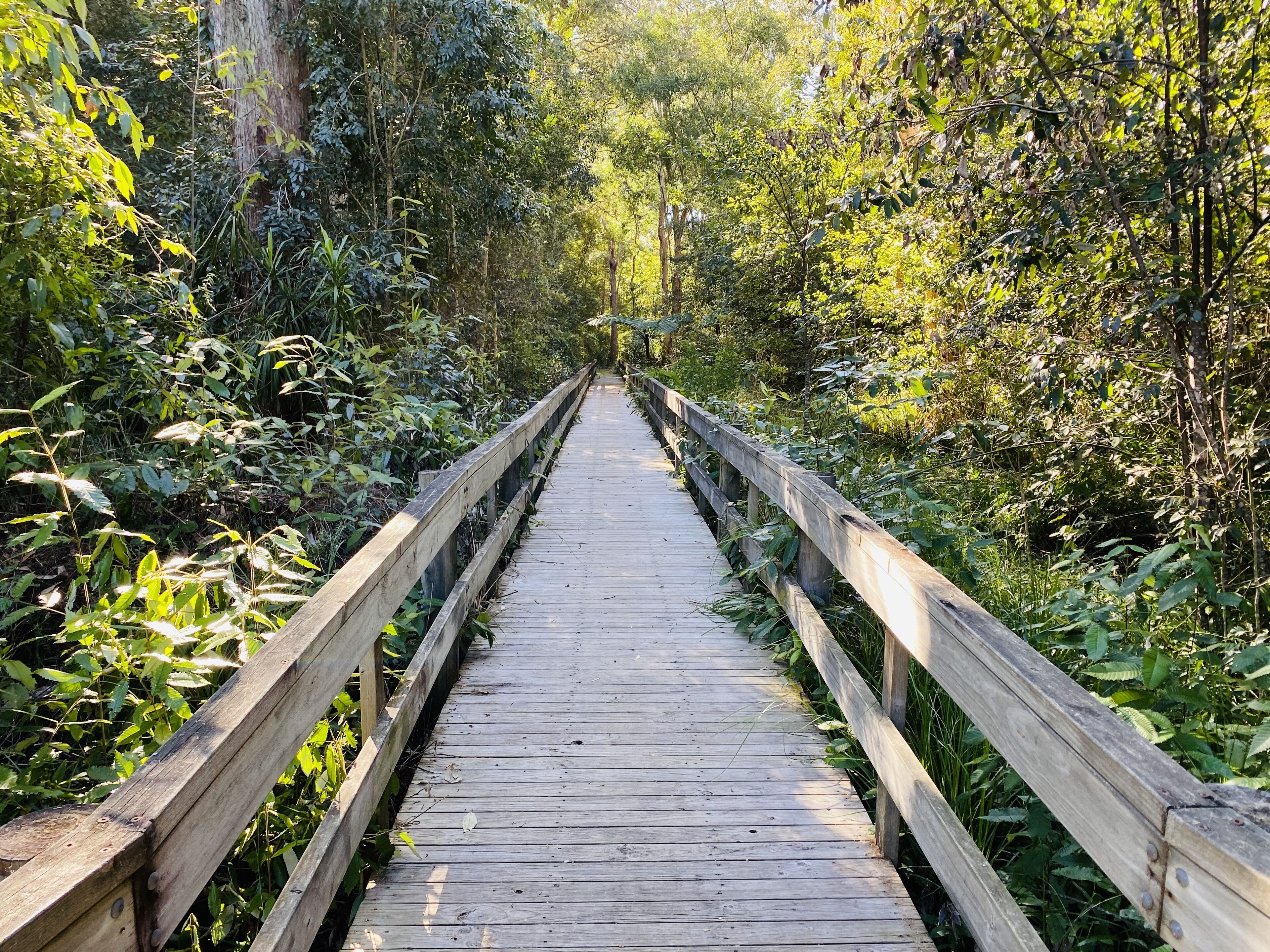 Luxury Valla Beach Holiday Home