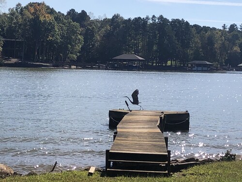 Lake Norman Campgrounds For Rvs : 13 Best Luxury Rv Resorts In North Carolina For Class A Rvs Rv N Style / 6738 e nc 150 hwy.