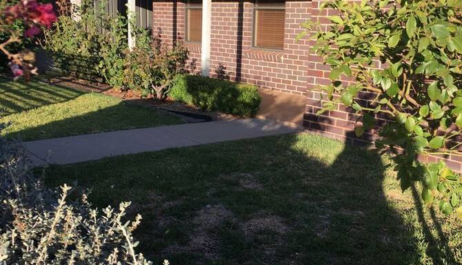 ラエアベニューコテージイースト ペット可 無料のwifi 口コミ 部屋写真 料金 お得情報 エクスペディア