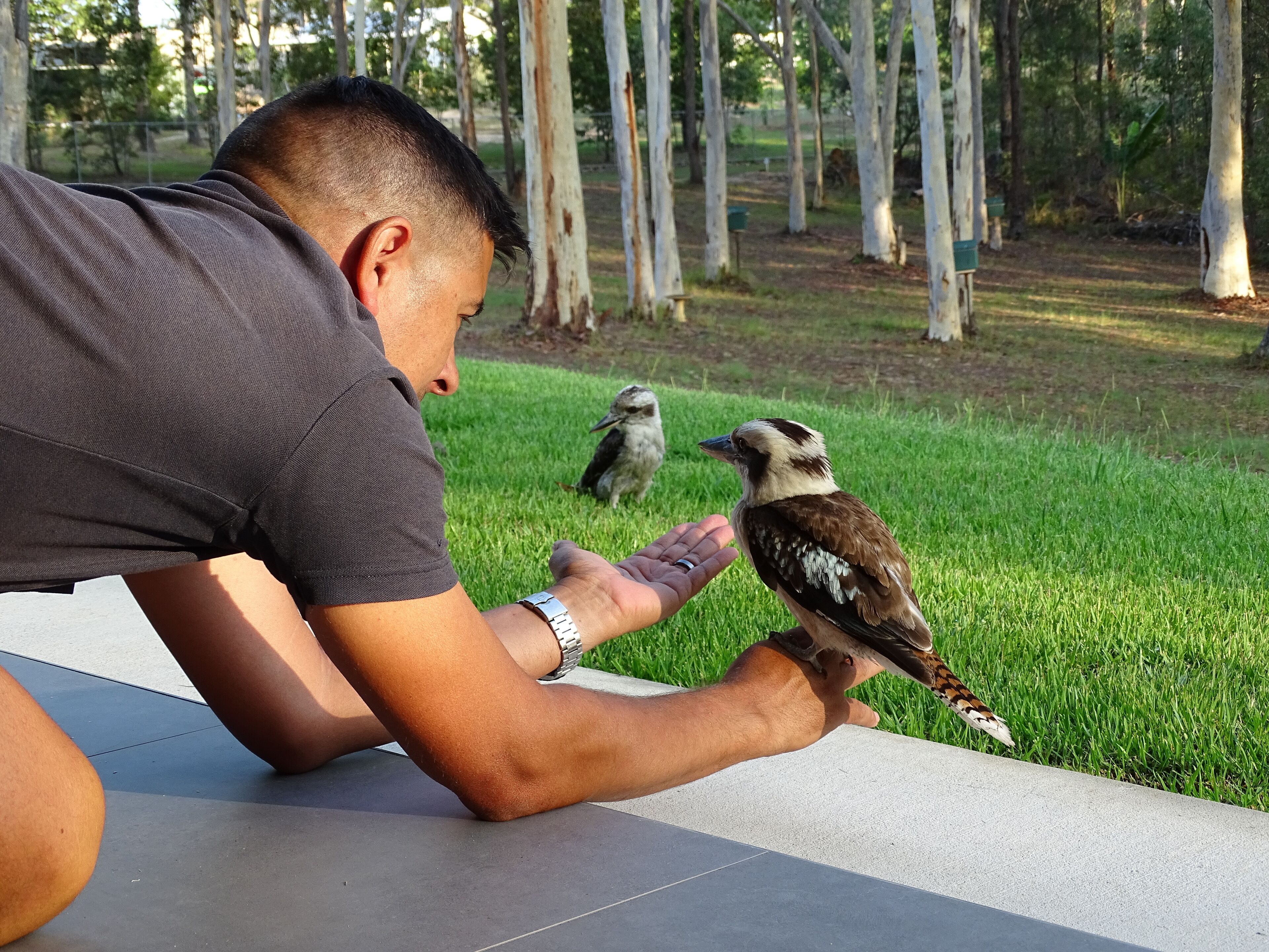 A tranquil bushland retreat with KB, Ducted AC and access to a heated pool.