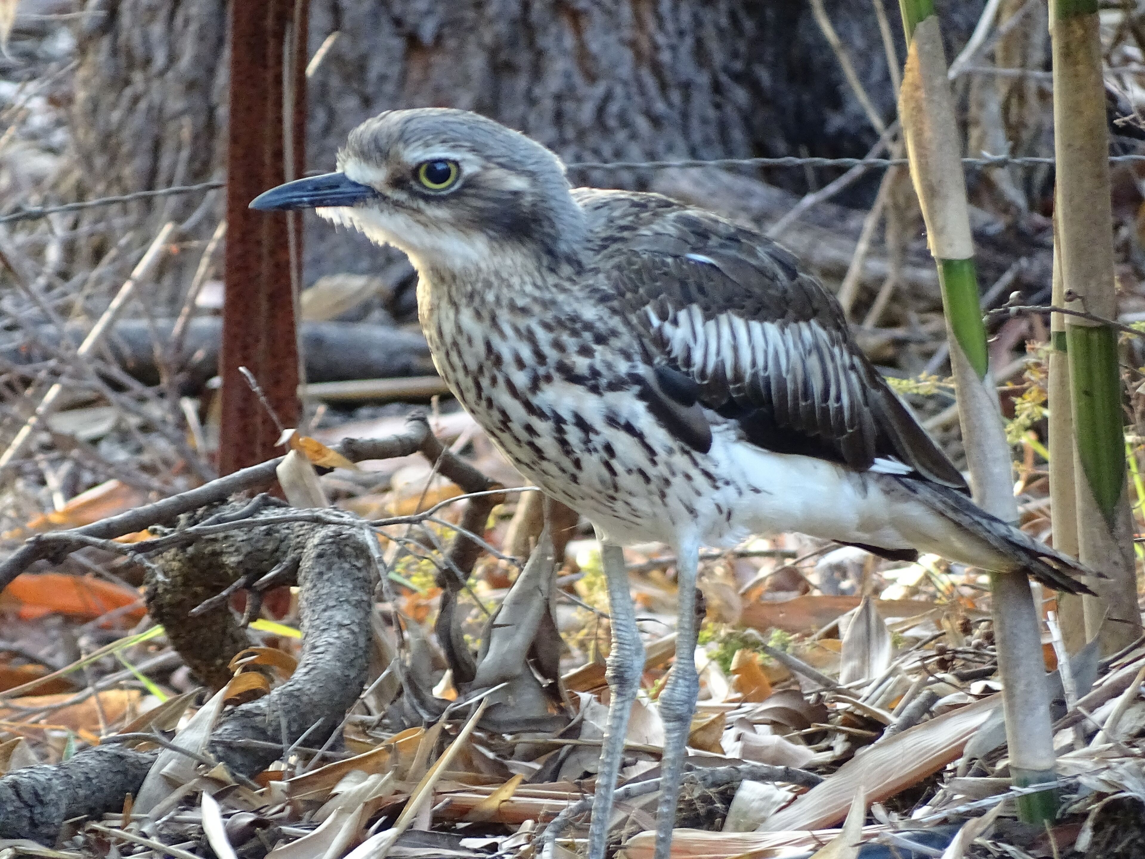 A tranquil bushland retreat with KB, Ducted AC and access to a heated pool.