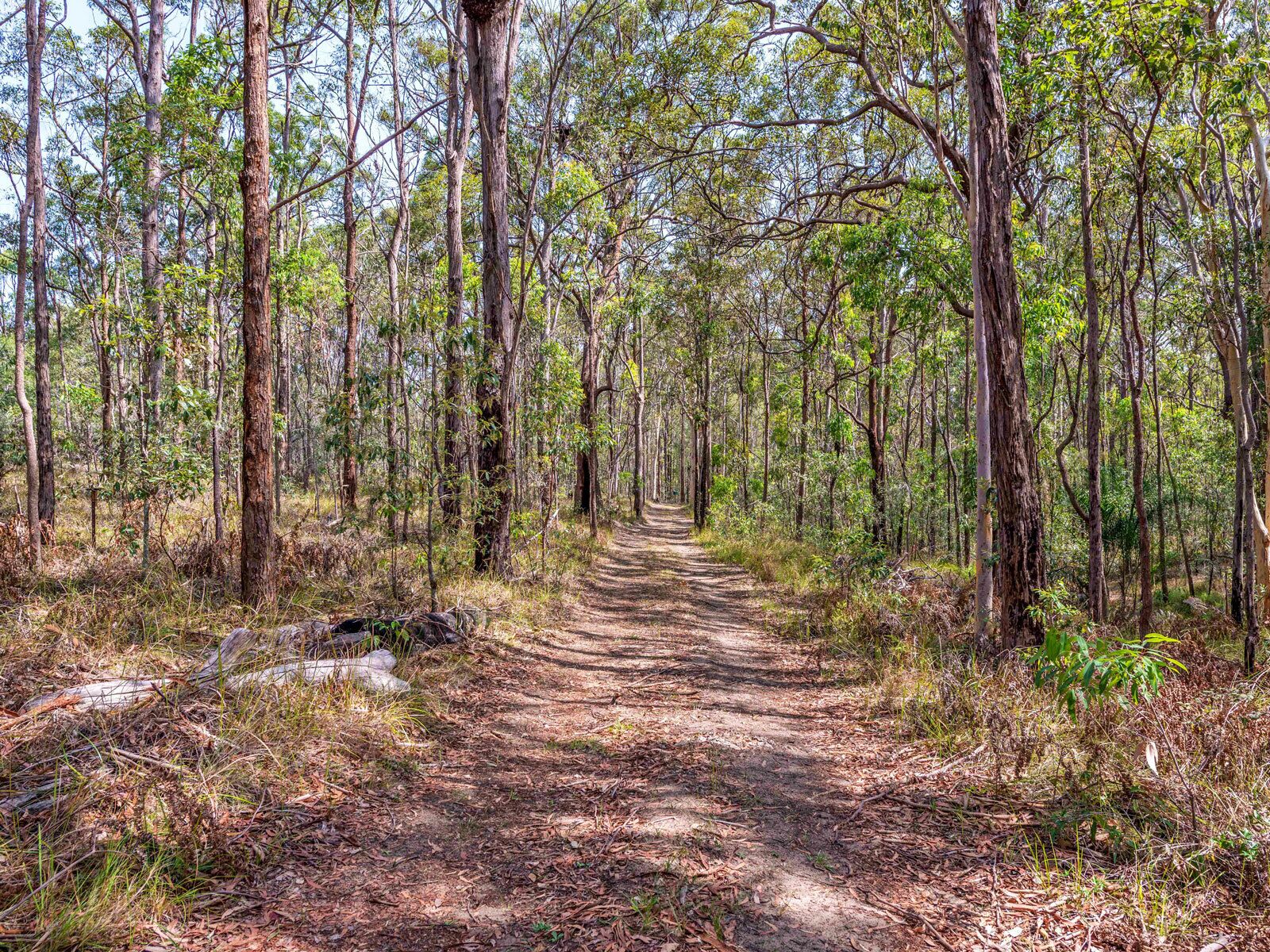 A tranquil bushland retreat with KB, Ducted AC and access to a heated pool.