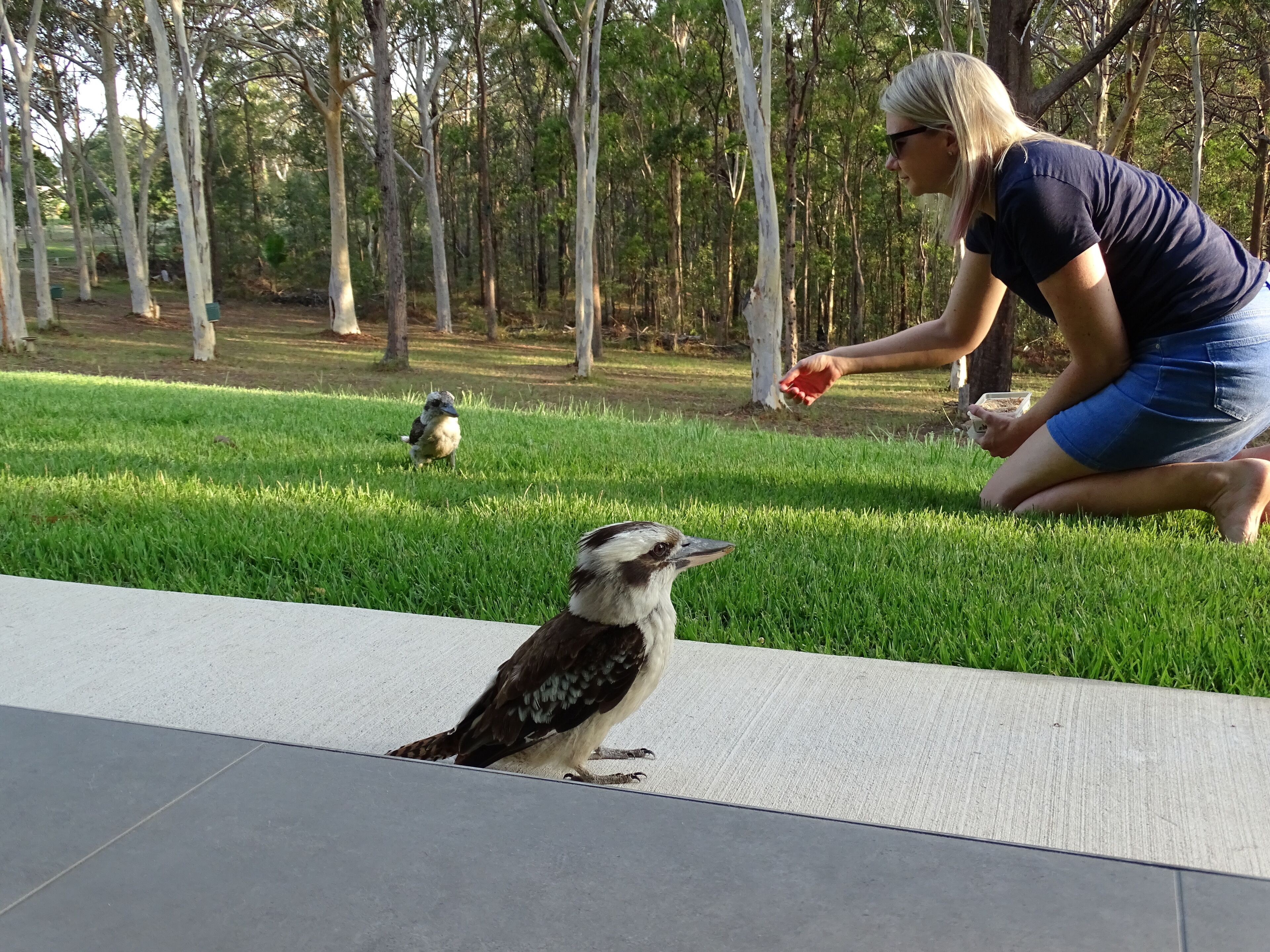 A tranquil bushland retreat with KB, Ducted AC and access to a heated pool.