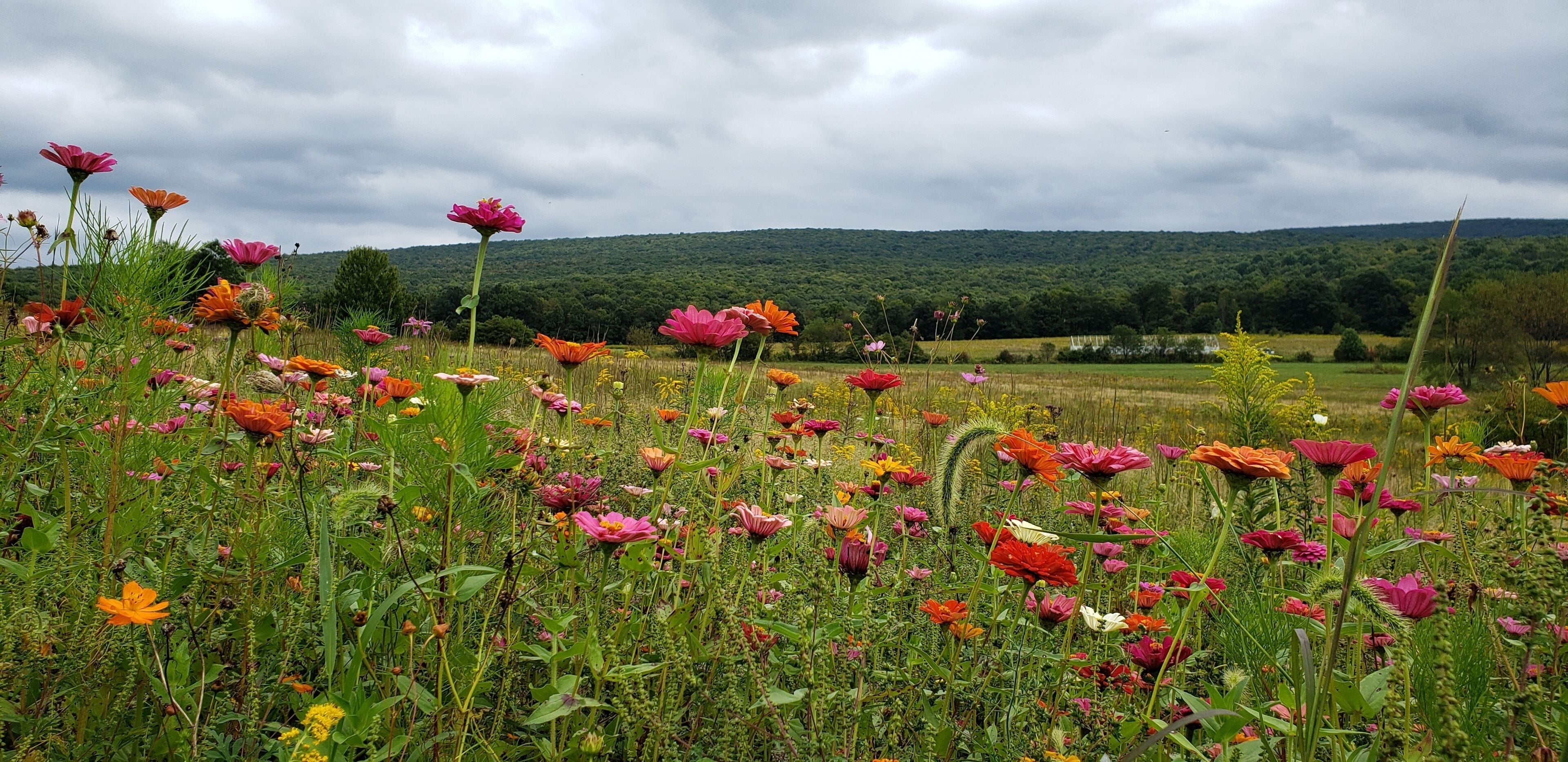 New! One of a Kind, Private, Beautiful Rustic Cabin in the Laurel Highlands in Greensburg, United States