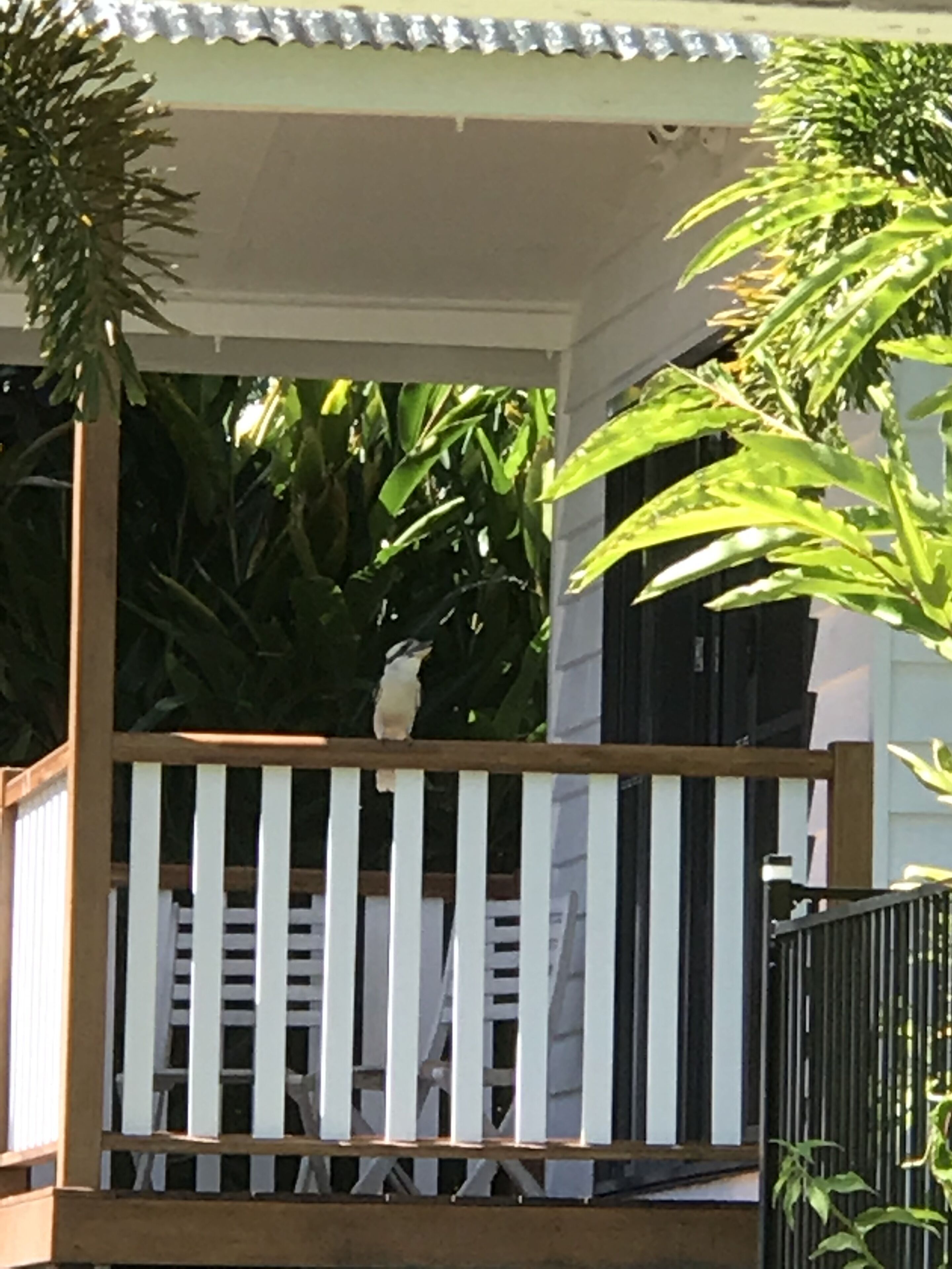 New!Cairns Tropical Private Villa close to everything.