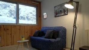 TV, DVD player, books, video library
