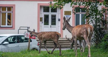 AC Apartmány Lomnica