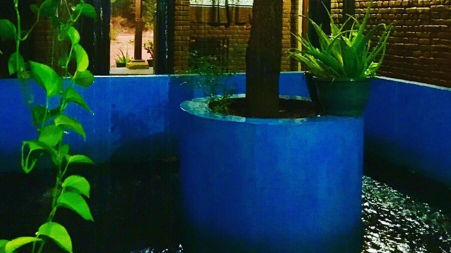 Sigiri peace hostel