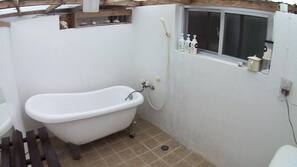 Separate tub and shower, hair dryer