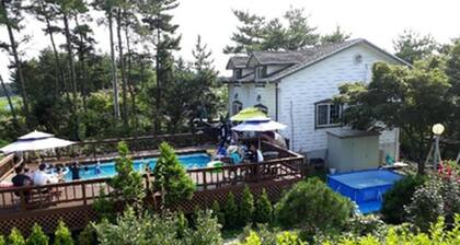 Blueberry Pension