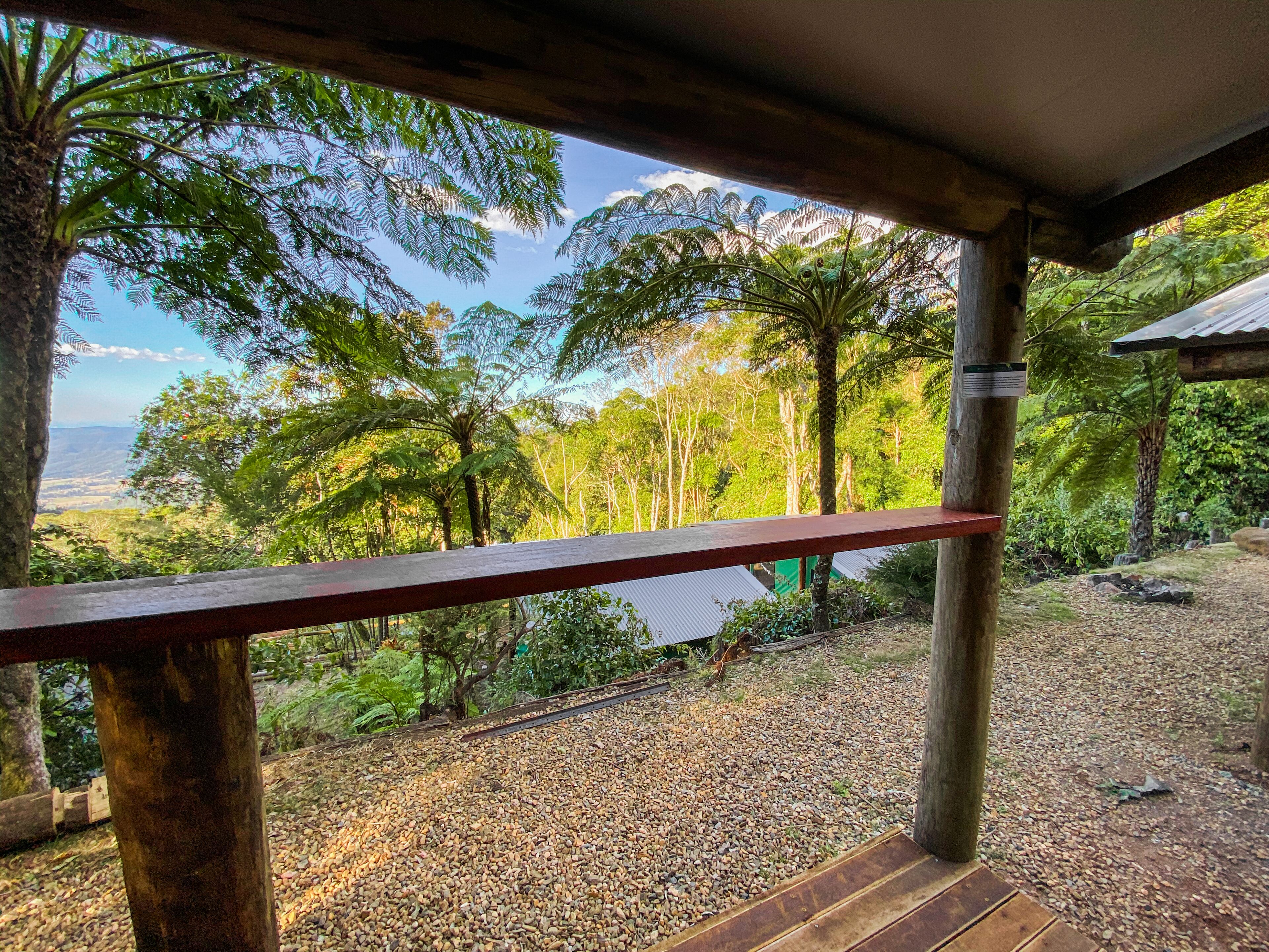 Binna Burra Rainforest Campsite