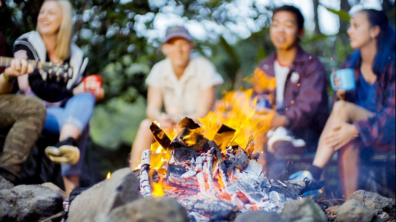 Binna Burra Rainforest Campsite