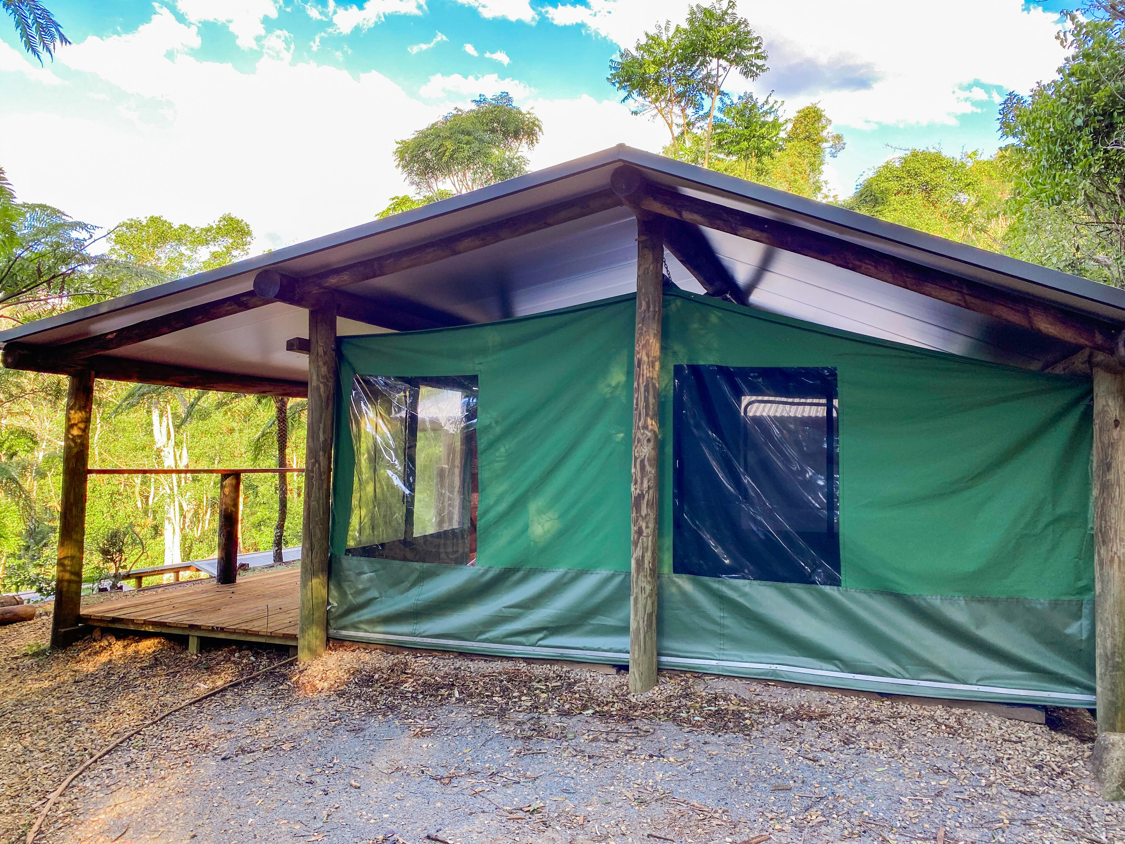 Binna Burra Rainforest Campsite