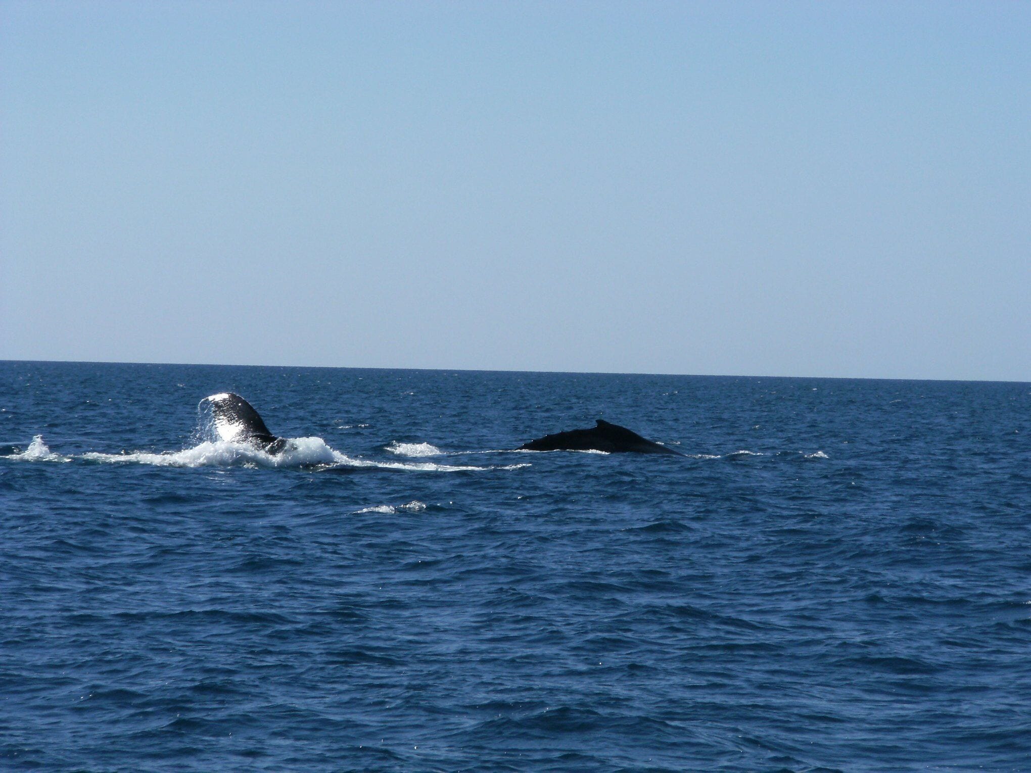 The Cove Holiday Village