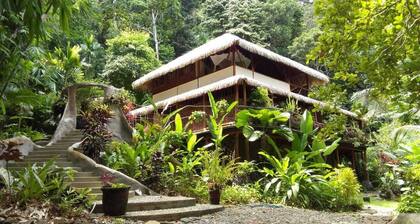 Casa Vida Verde