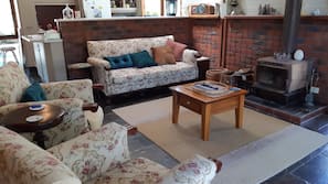TV, fireplace, DVD player, books