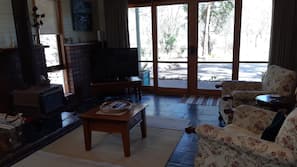 TV, fireplace, DVD player, books