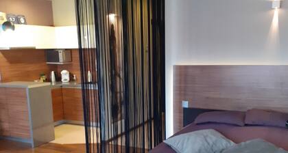 Apartament Studio przy Deptaku