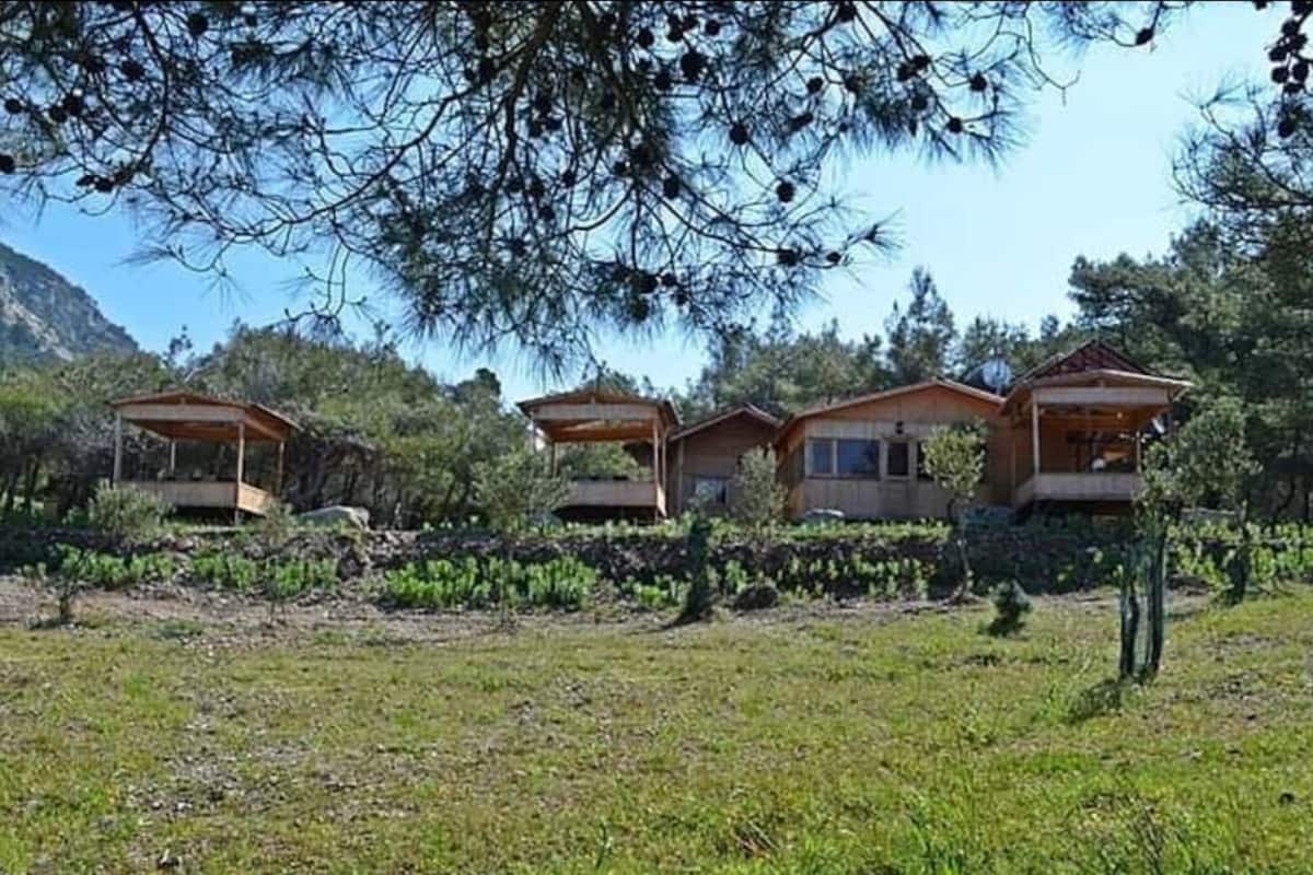 karadere park orman camping 2021 room prices deals reviews expedia com