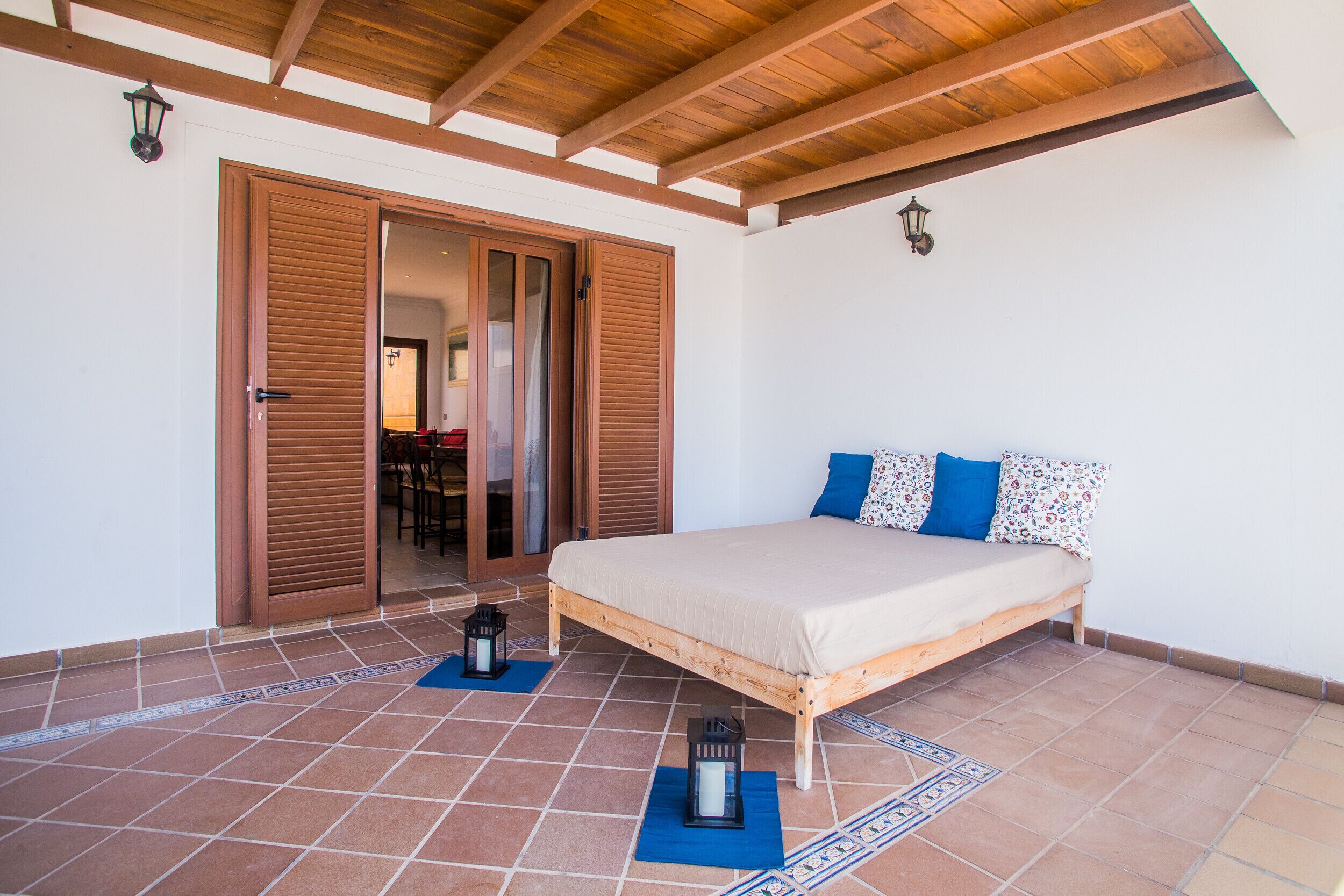 Ficus Benjamina, Apartamento Aveiro