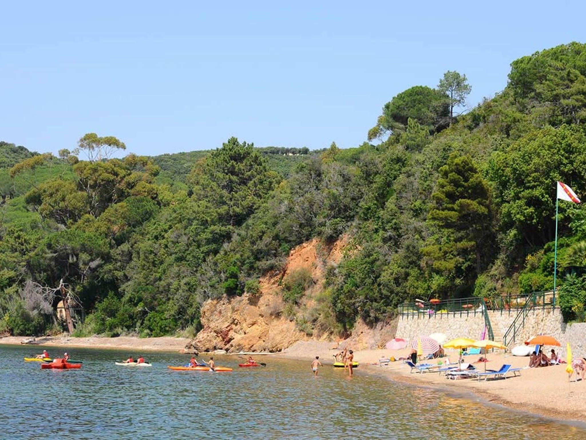 specialized pitch olx