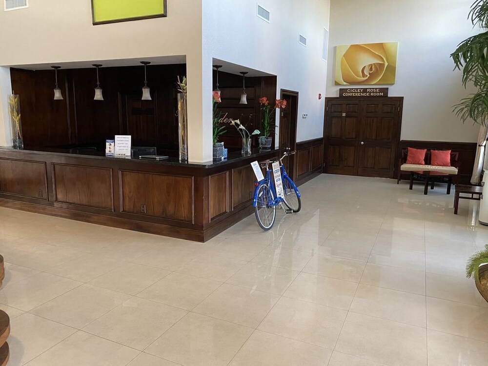 The Alexander 201 2 Bedroom Suite Cayman Brac Vrbo