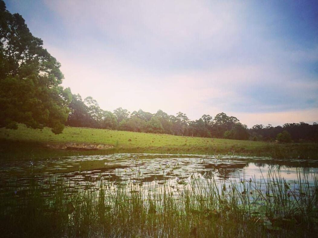 The Bucca Hideaway - Bush & Beach Experience