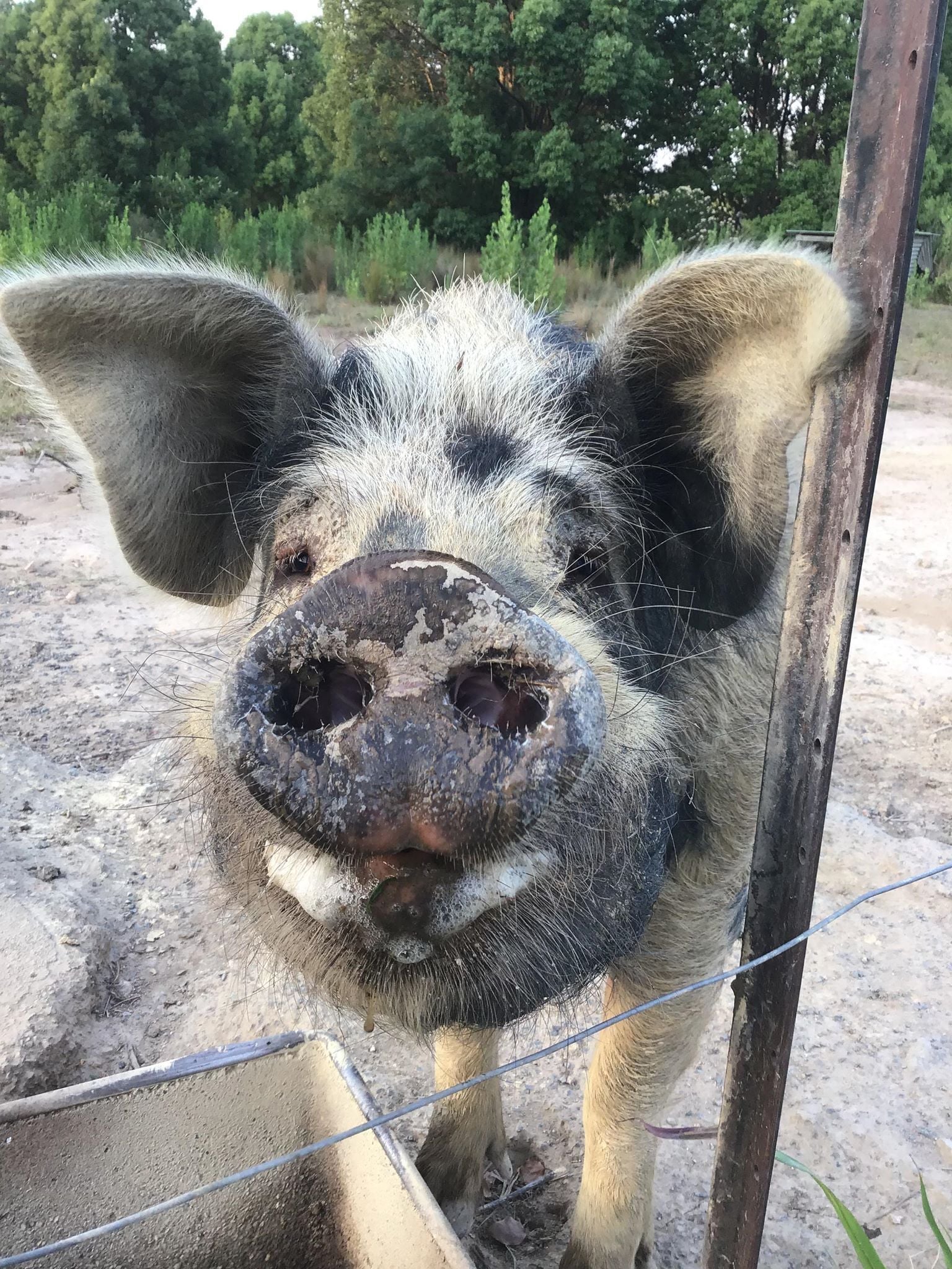 The Bucca Hideaway - Bush & Beach Experience